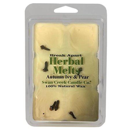Swan Creek Drizzle Melt Autumn Ivy & Pear/ SALTY SEA SPRAY