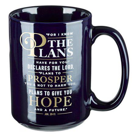 Mug for I Know the Plans (Other)