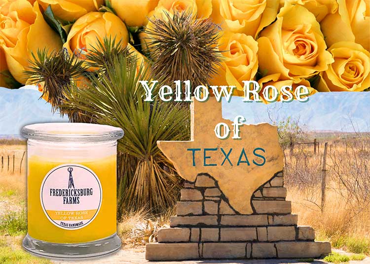 Fredericksburg Farms
Yellow Rose of Texas Candle (9 oz.)