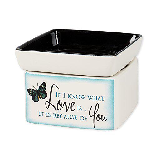 Elanze Designs Love You Blue Butterfly Electric 2 in 1 Jar Candle Wax Tart Oil Warmer